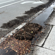 Roadway storm drain blocked by fallen leaves